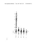 GENES OF AN OTITIS MEDIA ISOLATE OF NONTYPEABLE HAEMOPHILUS INFLUENZAE diagram and image