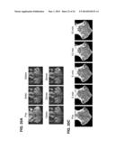 PHOTOSENSITIZING ANTIBODY-FLUOROPHORE CONJUGATES diagram and image