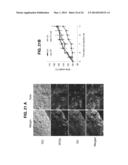 PHOTOSENSITIZING ANTIBODY-FLUOROPHORE CONJUGATES diagram and image