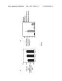 MIR-155 ENHANCEMENT OF CD8+ T CELL IMMUNITY diagram and image