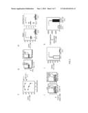 MIR-155 ENHANCEMENT OF CD8+ T CELL IMMUNITY diagram and image