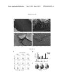 METHODS FOR INDUCING AN IMMUNE RESPONSE VIA BUCCAL AND/OR SUBLINGUAL     ADMINISTRATION OF A VACCINE diagram and image