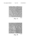 HYDROPHOBIC HYDROCARBON COATINGS diagram and image