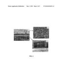 CARBON NANOTUBE GROWTH ON COPPER SUBSTRATES diagram and image