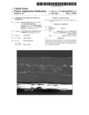 COMPOSITE POLYMER ELECTROLYTE MEMBRANE diagram and image