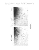 Desiccated Biologics And Methods Of Preparing The Same diagram and image