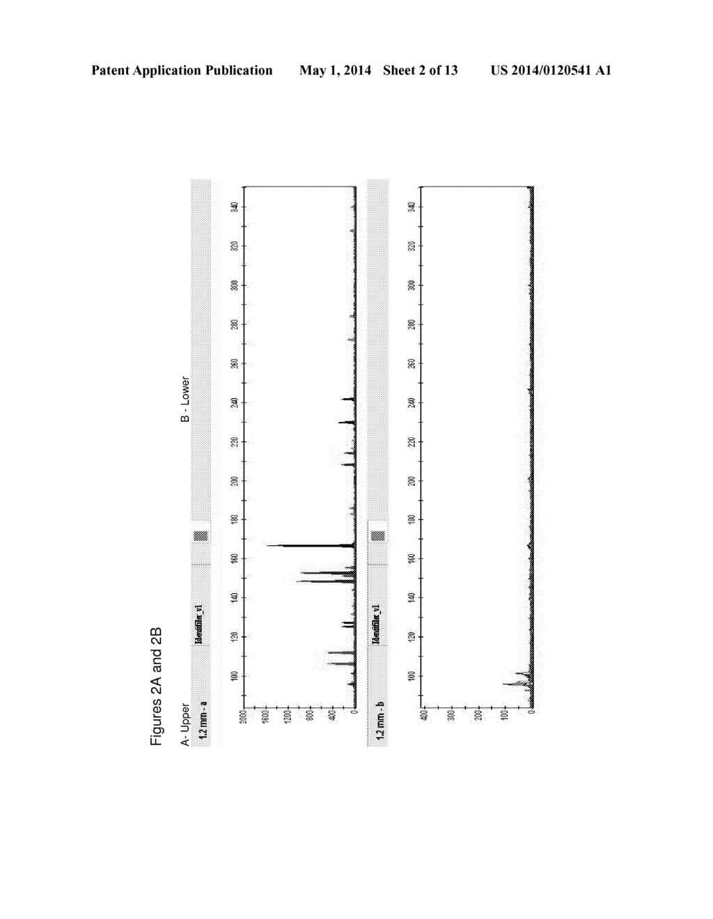 METHOD FOR DIRECT AMPLIFICATION FROM CRUDE NUCLEIC ACID SAMPLES - diagram, schematic, and image 03