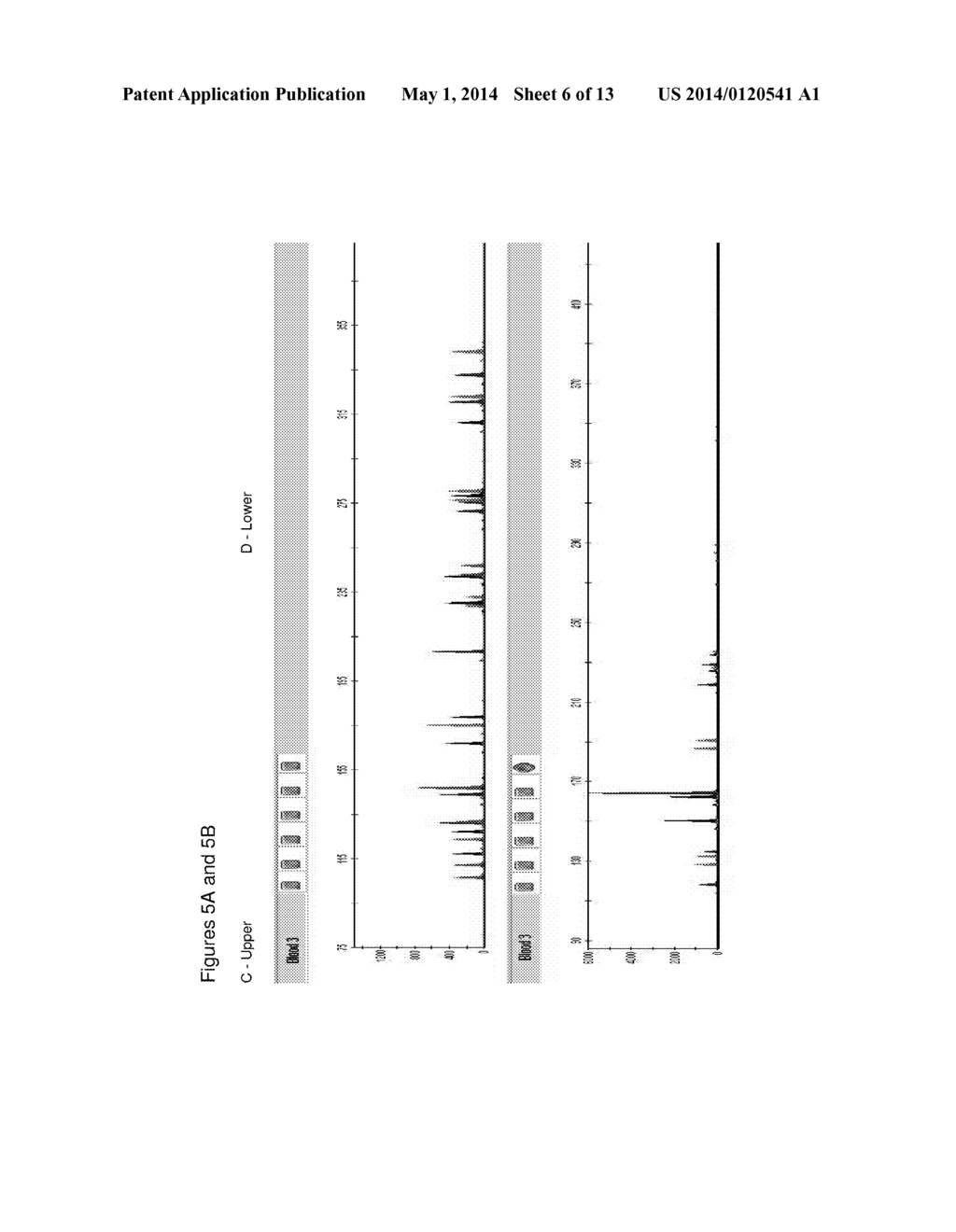 METHOD FOR DIRECT AMPLIFICATION FROM CRUDE NUCLEIC ACID SAMPLES - diagram, schematic, and image 07