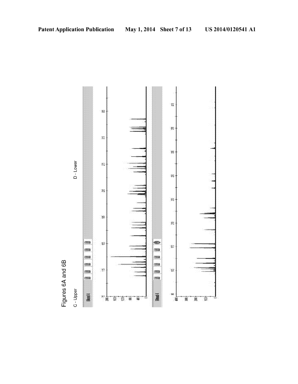 METHOD FOR DIRECT AMPLIFICATION FROM CRUDE NUCLEIC ACID SAMPLES - diagram, schematic, and image 08