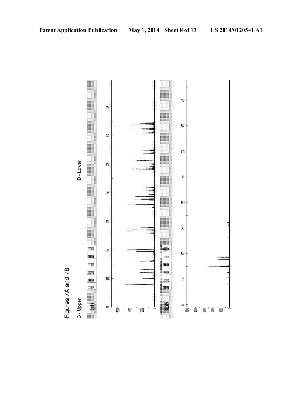 METHOD FOR DIRECT AMPLIFICATION FROM CRUDE NUCLEIC ACID SAMPLES - diagram, schematic, and image 09