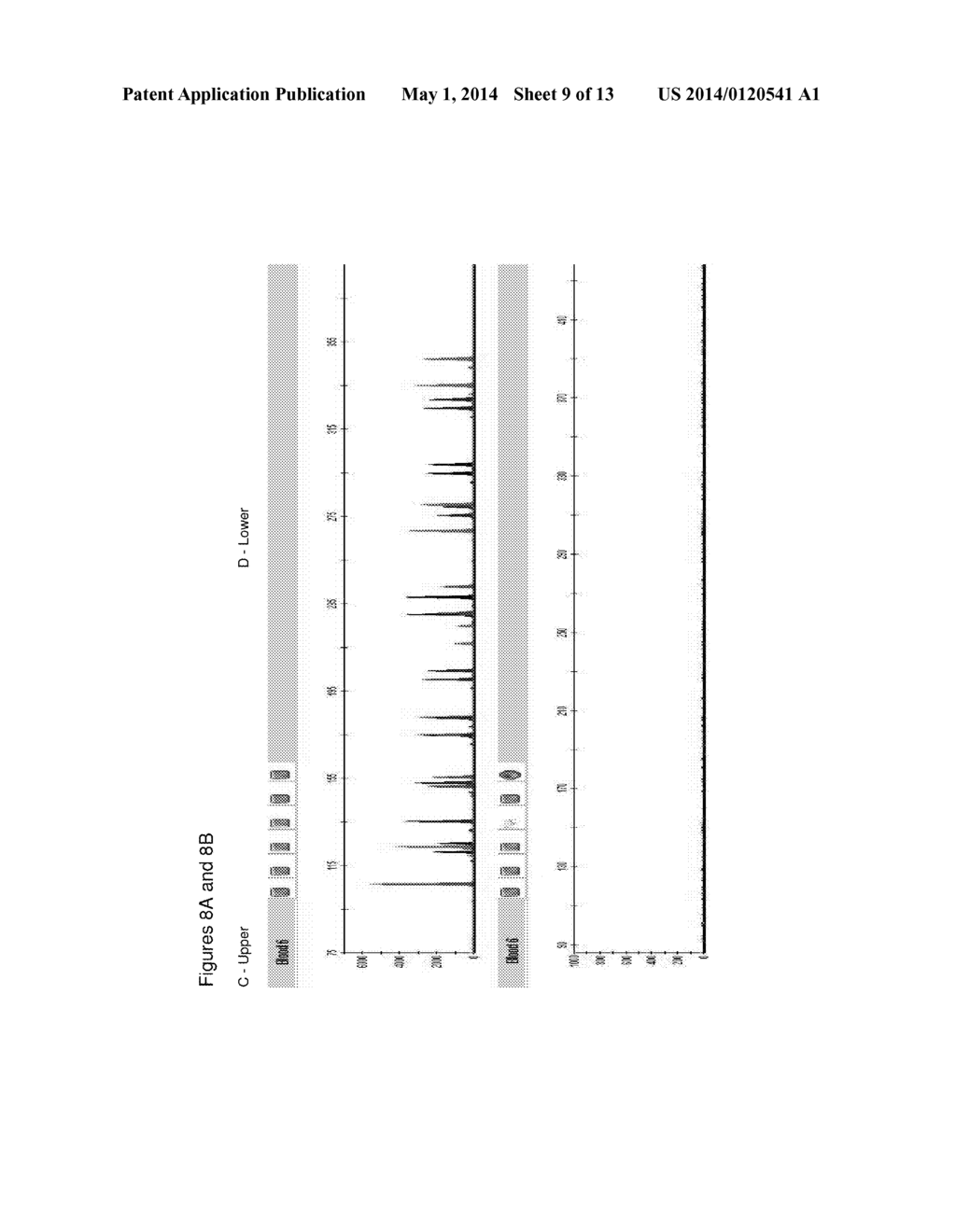 METHOD FOR DIRECT AMPLIFICATION FROM CRUDE NUCLEIC ACID SAMPLES - diagram, schematic, and image 10