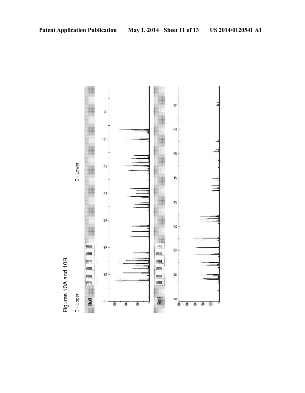 METHOD FOR DIRECT AMPLIFICATION FROM CRUDE NUCLEIC ACID SAMPLES - diagram, schematic, and image 12