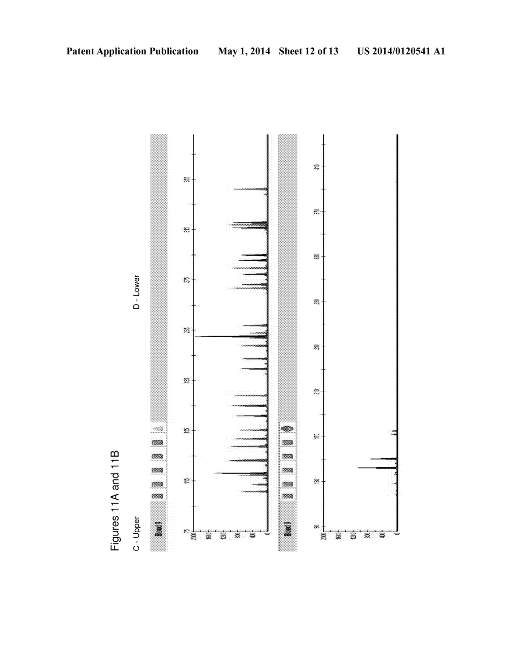 METHOD FOR DIRECT AMPLIFICATION FROM CRUDE NUCLEIC ACID SAMPLES - diagram, schematic, and image 13