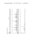 METHOD FOR DIRECT AMPLIFICATION FROM CRUDE NUCLEIC ACID SAMPLES diagram and image