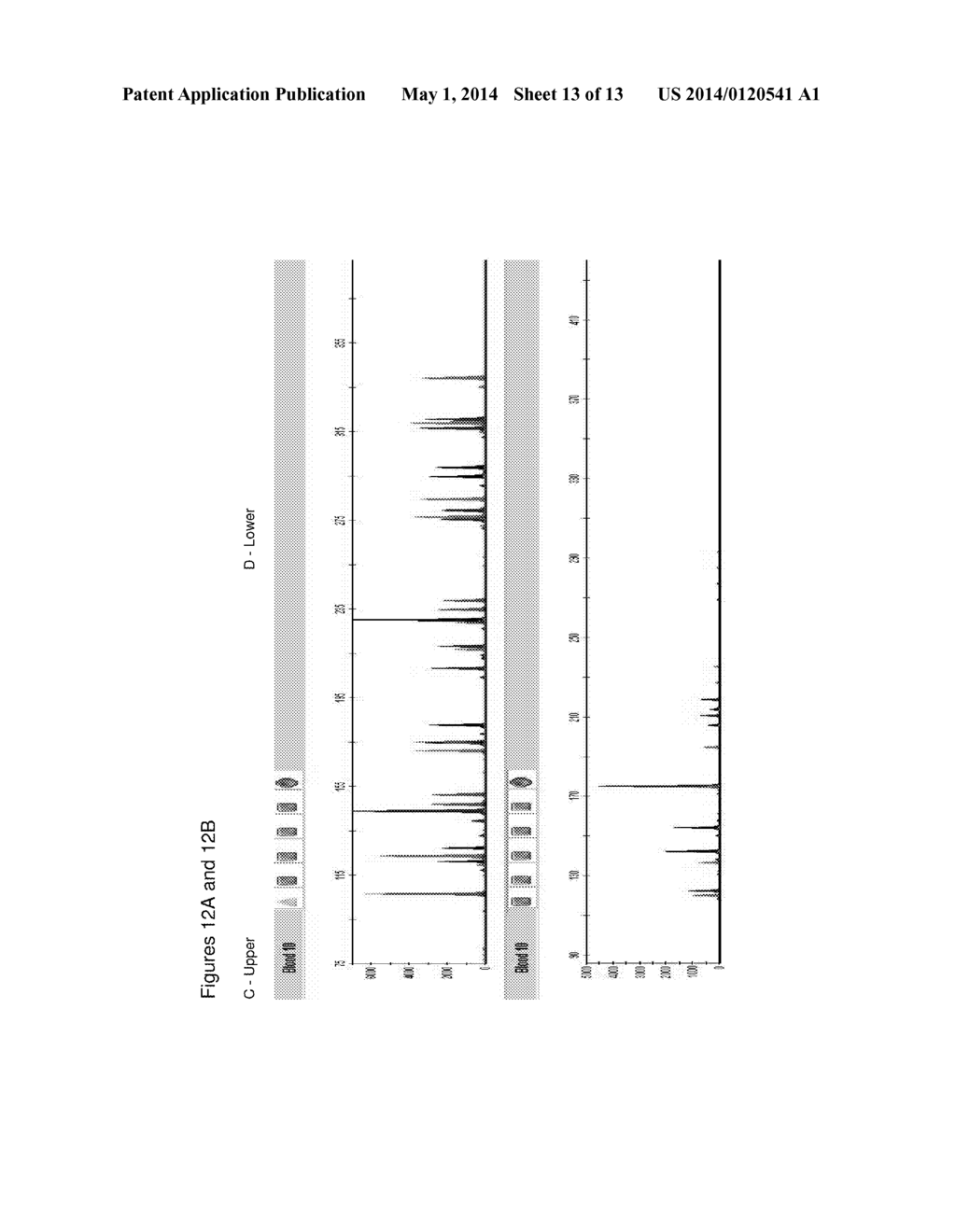 METHOD FOR DIRECT AMPLIFICATION FROM CRUDE NUCLEIC ACID SAMPLES - diagram, schematic, and image 14