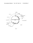 Bilirubin Oxidase from Magnaporthe Oryzae and Applications Thereof diagram and image