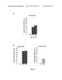 Metalloporphyrin Inducible Promoter diagram and image