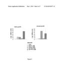 Metalloporphyrin Inducible Promoter diagram and image