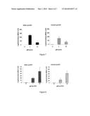 Metalloporphyrin Inducible Promoter diagram and image