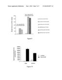 Metalloporphyrin Inducible Promoter diagram and image