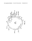 METHODS FOR DIVERSIFYING ANTIBODIES, ANTIBODIES DERIVED THEREFROM AND USES     THEREOF diagram and image