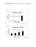 REPAIRING BRUCH S MEMBRANE WITH HYDROGELS diagram and image