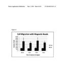 REPAIRING BRUCH S MEMBRANE WITH HYDROGELS diagram and image