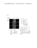 Methods for Inhibiting Virus Replication diagram and image