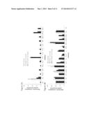 USE OF METHIONINE SULFOXIMINE TO TREAT ACUTE LIVER FAILURE AND OTHER     DISEASES CAUSED BY AN INFLAMMATORY CYTOKINE RESPONSE diagram and image