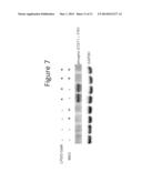 USE OF METHIONINE SULFOXIMINE TO TREAT ACUTE LIVER FAILURE AND OTHER     DISEASES CAUSED BY AN INFLAMMATORY CYTOKINE RESPONSE diagram and image