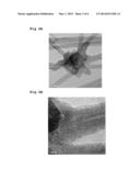 CARBON FIBROUS CONJUNCT AND COMPOSITE MATERIAL USING THEREOF diagram and image