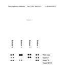 HYPOALLERGENIC MUTANT POLYPEPTIDES BASED ON FISH PARVALBUMIN diagram and image