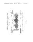 HIGH SURFACE AREA GRAPHENE-SUPPORTED METAL CHALCOGENIDE ASSEMBLY diagram and image