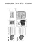 SEIZURE DETECTION DEVICE AND SYSTEMS diagram and image