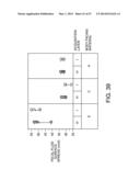 Absorbent Article diagram and image