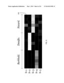 CLASSIFICATION OF NUCLEOTIDE SEQUENCES BY LATENT SEMANTIC ANALYSIS diagram and image