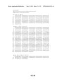 ARABIDOPSIS NONHOST RESISTANCE GENE(S) AND USE THEREOF TO ENGINEER DISEASE     RESISTANT PLANTS diagram and image