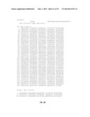 ARABIDOPSIS NONHOST RESISTANCE GENE(S) AND USE THEREOF TO ENGINEER DISEASE     RESISTANT PLANTS diagram and image