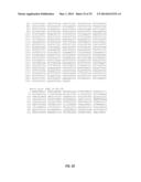 ARABIDOPSIS NONHOST RESISTANCE GENE(S) AND USE THEREOF TO ENGINEER DISEASE     RESISTANT PLANTS diagram and image