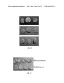 ARABIDOPSIS NONHOST RESISTANCE GENE(S) AND USE THEREOF TO ENGINEER DISEASE     RESISTANT PLANTS diagram and image