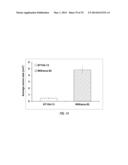 ARABIDOPSIS NONHOST RESISTANCE GENE(S) AND USE THEREOF TO ENGINEER DISEASE     RESISTANT PLANTS diagram and image