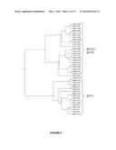 Plants Having Enhanced Yield-Related Traits and Method for Making the Same diagram and image