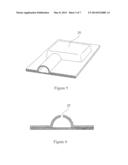 Rigid Disposable Flow Path diagram and image