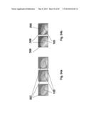 PORTABLE DEVICE FOR ATTACHING A CONNECTOR TO AN OPTICAL FIBER diagram and image