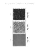 REAL-TIME LINE FEED MEASUREMENT OF INKJET PRINTER diagram and image