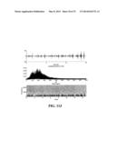 ACOUSTIC MONITORING SYSTEM AND METHODS diagram and image