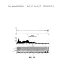 ACOUSTIC MONITORING SYSTEM AND METHODS diagram and image