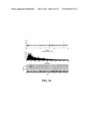 ACOUSTIC MONITORING SYSTEM AND METHODS diagram and image