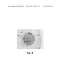 SOLDER JOINT STRUCTURE AND SOLDER JOINING METHOD diagram and image