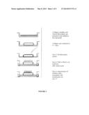 Method and Composition for Skin Grafts diagram and image